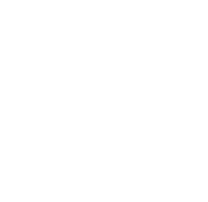 Growth support for client companies in IT consulting, Development of in-house services using generative AI, Education and creation of IT human resources, Integrated execution support from development to maintenance and operation, Creation of opportunities for IT freelancers, Start-up and growth support for IT companies